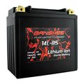 Banshee Lithium-Ion Motorcycle Battery Replaces 65958-04 DLFP14L-BS